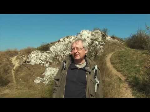 Die weite Landschaft an der unteren Thaya