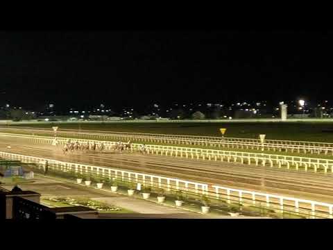 Nadie Te Olvida - Criterium Potrillos (UG2)