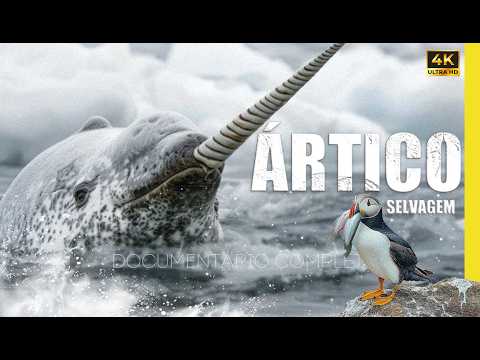 EXPLORING THE DEEP ARCTIC – FULL 4K DOCUMENTARY