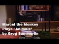 Greg Summerlin Marcel