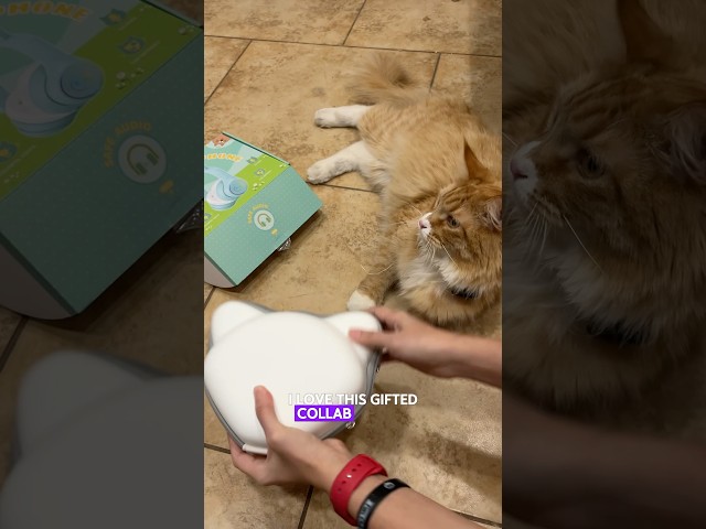 Vídeo relacionado con LOBKIN Auriculares Niños con Bolsa, Inalámbricos y con Cable, Auriculares Bluetooth Niños Niñas Plegables Ajustable para Escuela, Viajes