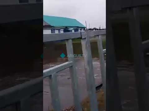 Маленький житель Бурятии эмоционально комментирует подтопление