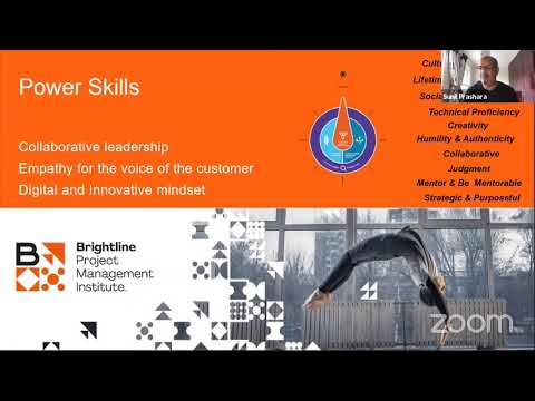 image-What are SMEs in project management?