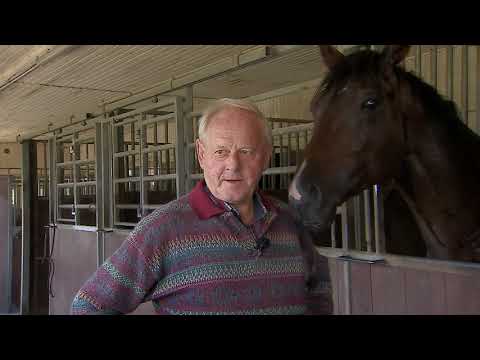 Vinderen af Jydsk Derby 2020 Speedman har en stor chance i The Macallan Dansk Derby 2020