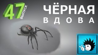 Как поэтапно рисовать паука карандашом - Видео онлайн