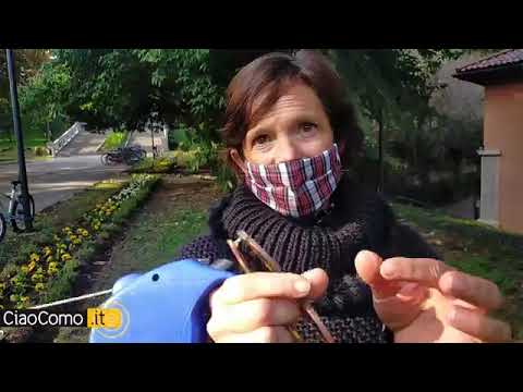 Pillola di botanica con l’esperta Anna Bocchietti: i segreti dei giardini della stazione di Como