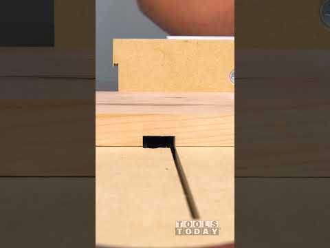 Cutting Perfect Dados #woodworkingtools #diy #wood