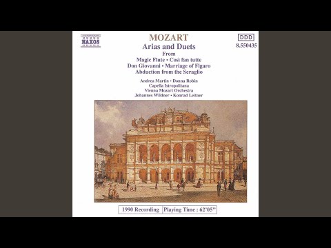 Don Giovanni, K. 527: Madamina