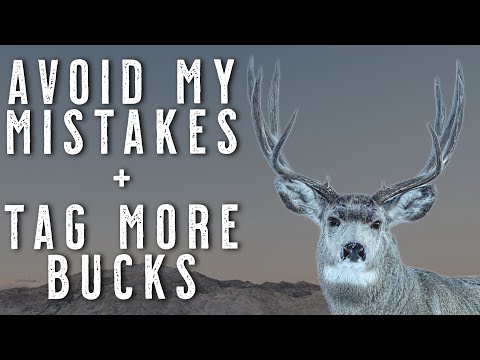 5 Mule Deer Hunting Tips I Wish I Knew Sooner | How to Hunt Mule Deer