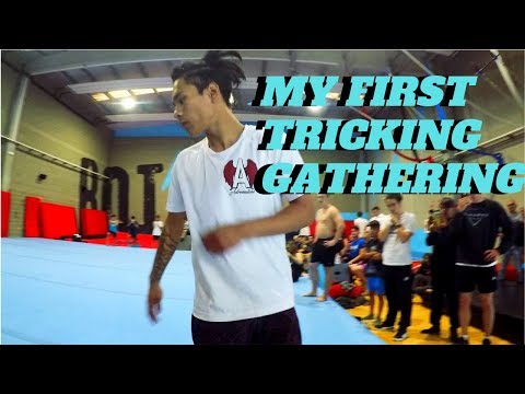 BOT GYM Tricking Gathering With | Alexander Andersen, Martin Drumev & Plan Zero