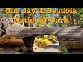 One day in Sequoia National Park.