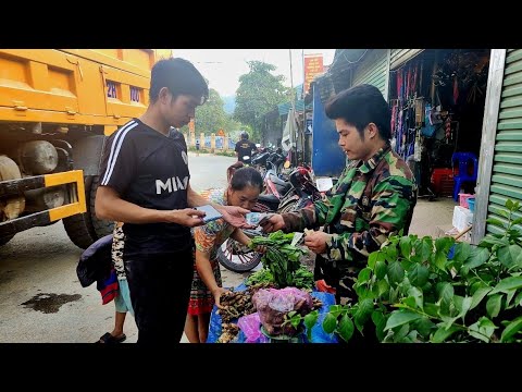 Colha gengibre e hortas para vender no mercado