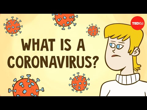 What is a coronavirus? – Elizabeth Cox