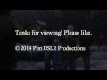 Devics - Salty Seas- (Lyrics on screen) The Walking Dead Game-Season 2 Episode 4