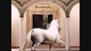 )(  Vicente Fernandez Caballo Alazan Lusero  )(