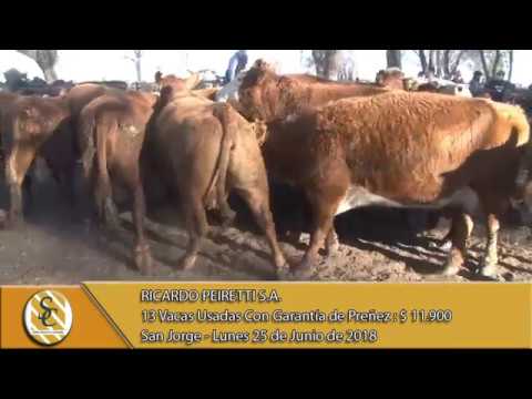 25-06-18 Venta de Vientres - Ricardo Peiretti S.A. - San Jorge