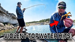 VIOLENT TOPWATER BLOWUPS on NEW Soft Plastic “BUZZGILL”!!!