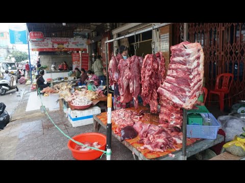 Amazing Morning Street Food at Phsa Samaki - Walking Around Samaki Food Market in Morning