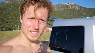 The Tree of Life Vlog