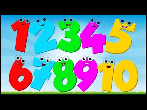 SAYMAYI ÖĞRENİYORUM | Sayılar Şarkısı & Rakamlar | Eğitici Çocuk Şarkıları