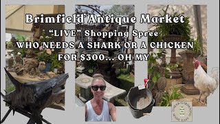 LIVE at Brimfield MA.The largest Antique Market of The North East #garden #hydroponicgardening