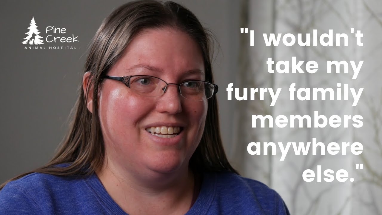 I Wouldn't Take My Pets Anywhere Else [2021]