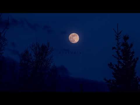 Øneheart & inertia. - fading lights