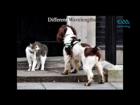 GAA National Games Development Conference 2017 - Paudie Butler