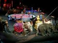 RINGLING BROS ZING ZANG ZOOM APERTURA 2009