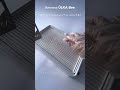 ÜLKA Tabletop hood Bee (5 year warranty)