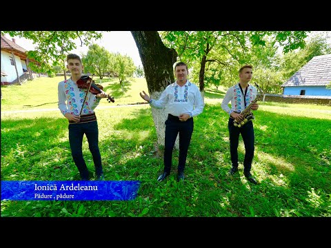 🌲🌲Ionica Ardeleanu-Padure,padure!!!