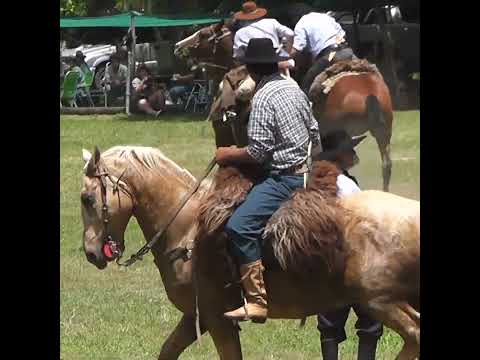 Monta en clina Que GARRONES en Monte de Los Indios Tabossi Entre Rios