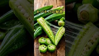 知らないと損！オクラの秘密5選 #健康 #健康習慣 #栄養 #食材 #ヘルシー #健康情報