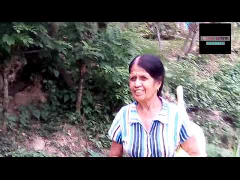 #Dana# #Express# ru siri roo siri