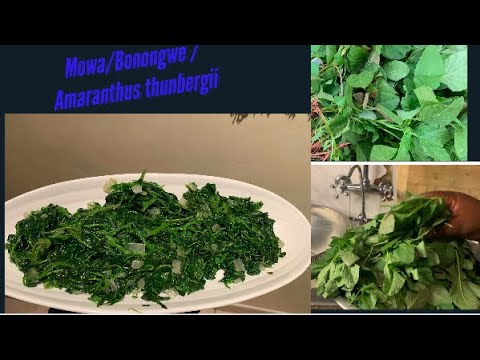 How to prepare and cook Mowa/Amarathus