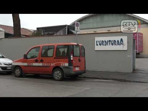 CACCIA A CHI HA MANOMESSO L'ORDITOIO