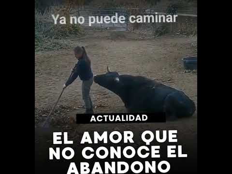 después de los años se siguen queriendo