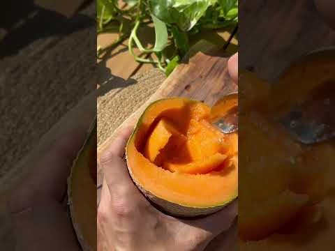 Recette Glace citron basilic ultra fraîche