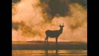 Tiger By The Tail - Tiger By The Tail (2005) - FULL ALBUM