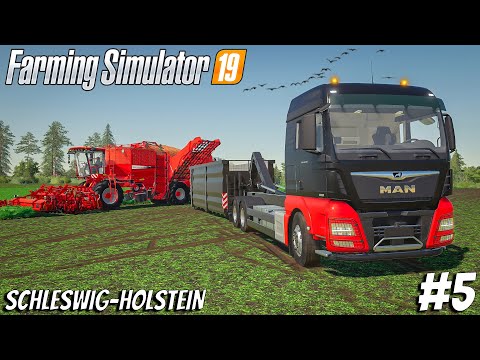Picking & feeding carrots to horses + alfalfa | Schleswig Farm | Timelapse #5 | Farming Simulator 19
