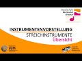 Streichinstrumente Übersicht