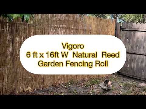 Vigoro 6ft x 16ft W Natural Reed Garden Fencing Roll - Install #vigoro #fence #privacyfence