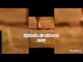 Splitsvilla 13 Wild Card Entry