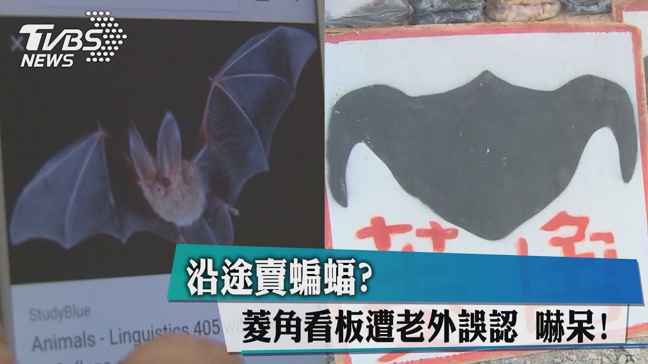 沿途賣蝙蝠? 菱角看板遭老外誤認嚇呆!