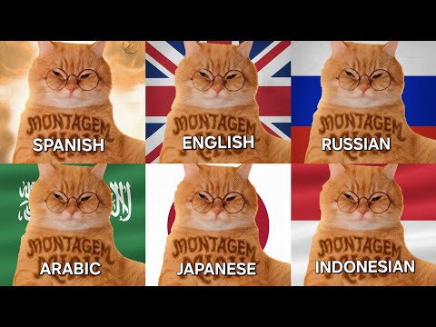 Montagem Miau in Different Language Versions