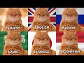 Montagem Miau In Different Language Versions