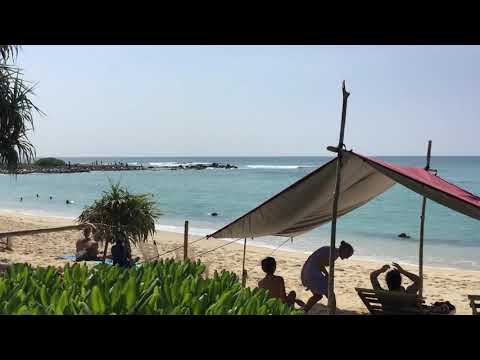 Dry Fish + Icy Blue water beach + surfing + pub             SUBSCRIBE