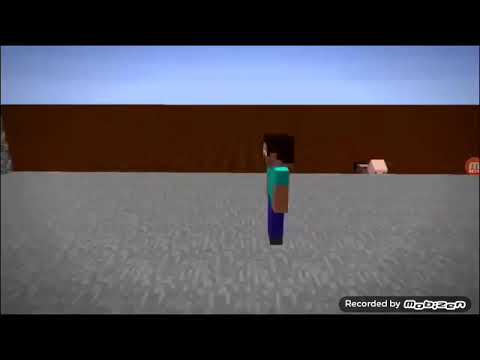 STEVE VS HEROBRINE