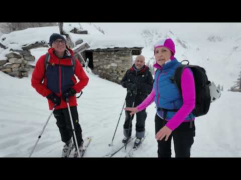 Scialpinismo 17 gennaio 2026 - Valle del Gran San Bernardo