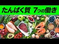 【必見】たんぱく質の7つの機能と働き【ビーレジェンド プロテイン】